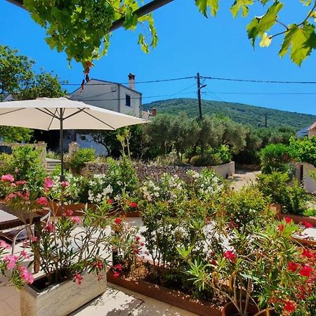 Apartmani Tanja Martinscica  Bagian luar foto