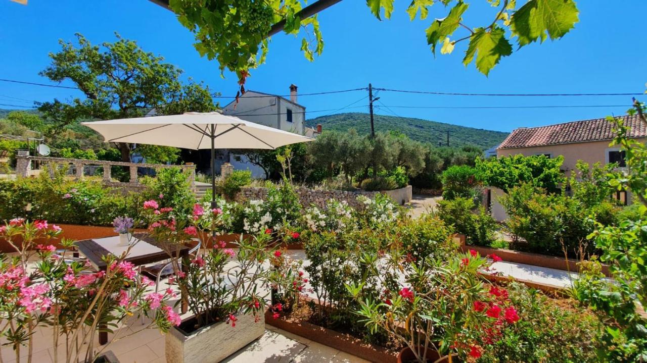 Apartmani Tanja Martinscica  Bagian luar foto